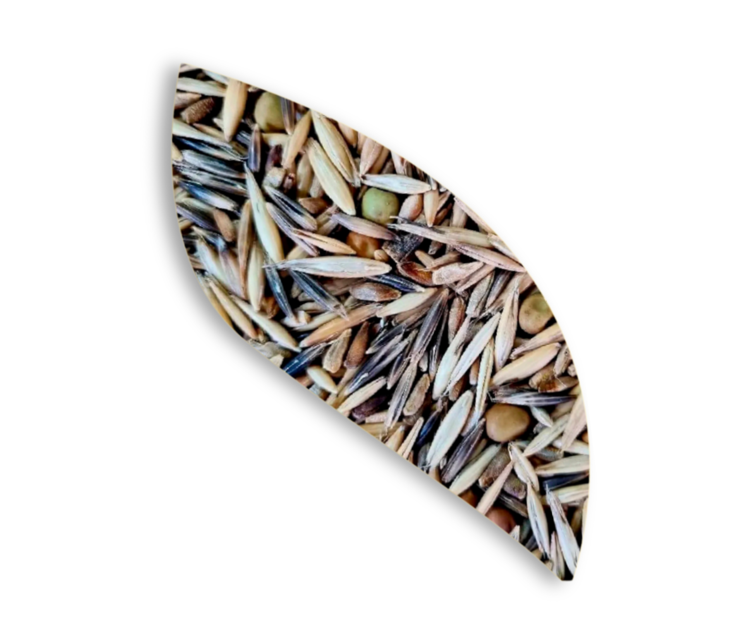 Cultiva Nitro