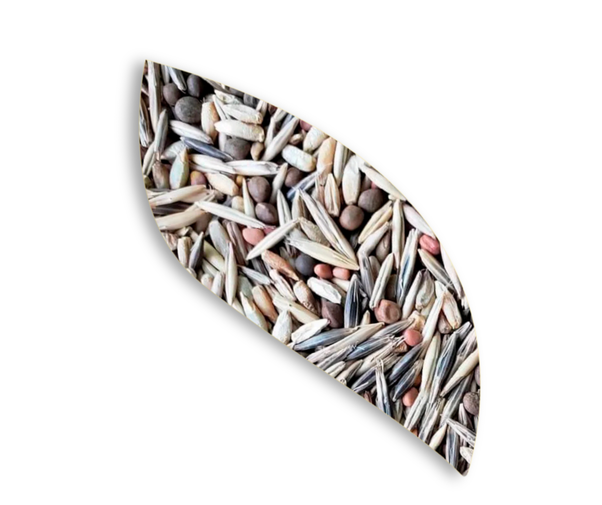 Intensa