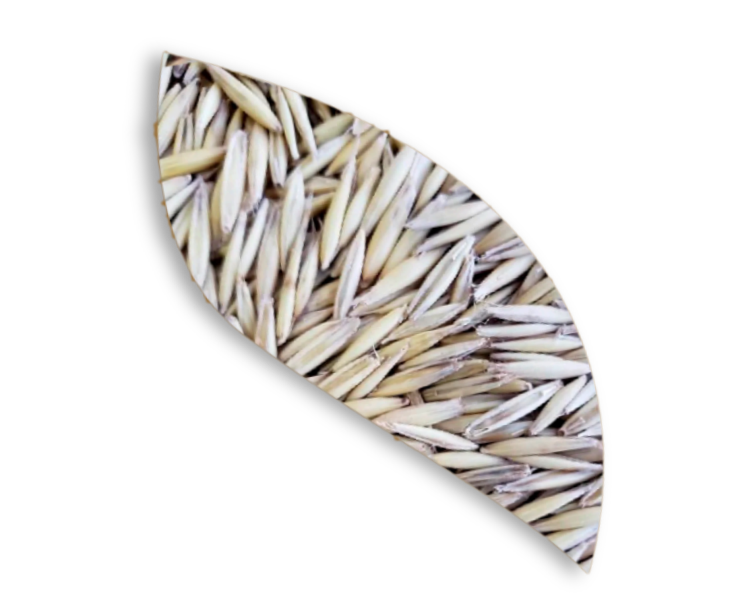 MaxMassa